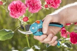 GARDENA - Classic B/S-M Bypass Snoeischaar - Ø 22mm - 25 Jaar Garantie 20 GARDENA - Classic B/S-M Bypass Snoeischaar - Ø 22mm - 25 Jaar Garantie -Gardena Winkel 1200x799 29