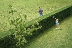 Bosch AHS 50-20 Accu Heggenschaar - Met 1 X 18 V Accu En Lader 16 Bosch AHS 50-20 Accu Heggenschaar - Met 1 X 18 V Accu En Lader -Gardena Winkel 1200x800 22