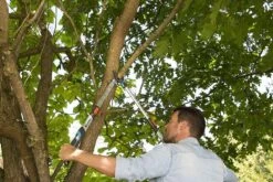 Gardena TeleCut Takkenschaar 650-900 B - Uitschuifbare Armen - Tot Max 90 Cm -Gardena Winkel 1200x800 62