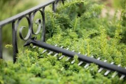 Bosch UniversalHedgeCut 18-55 Heggenschaar - Zonder 18V Accu En Oplader 16 Bosch UniversalHedgeCut 18-55 Heggenschaar - Zonder 18V Accu En Oplader -Gardena Winkel 1200x800 67