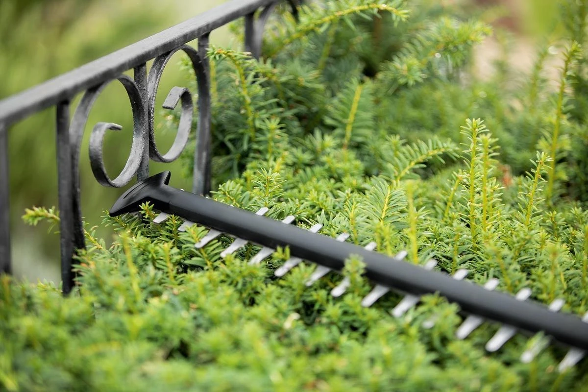 Bosch UniversalHedgeCut 18-55 Heggenschaar - Zonder 18V Accu En Oplader 7 Bosch UniversalHedgeCut 18-55 Heggenschaar - Zonder 18V Accu En Oplader - Afbeelding 5