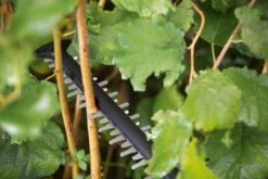 Bosch UniversalHedgeCut 18-55 Heggenschaar - Zonder 18V Accu En Oplader 19 Bosch UniversalHedgeCut 18-55 Heggenschaar - Zonder 18V Accu En Oplader -Gardena Winkel 1200x800 70