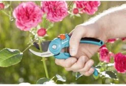 GARDENA - Classic B/S-M Bypass Snoeischaar - Ø 22mm - 25 Jaar Garantie 24 GARDENA - Classic B/S-M Bypass Snoeischaar - Ø 22mm - 25 Jaar Garantie -Gardena Winkel 1200x825 10