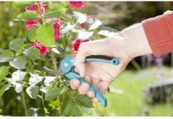 GARDENA - Classic B/S-M Bypass Snoeischaar - Ø 22mm - 25 Jaar Garantie 25 GARDENA - Classic B/S-M Bypass Snoeischaar - Ø 22mm - 25 Jaar Garantie -Gardena Winkel 1200x825 11