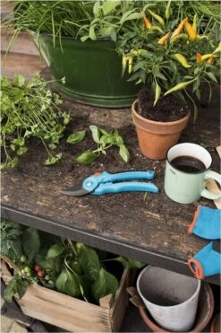 GARDENA - Classic B/S-M Bypass Snoeischaar - Ø 22mm - 25 Jaar Garantie 18 GARDENA - Classic B/S-M Bypass Snoeischaar - Ø 22mm - 25 Jaar Garantie -Gardena Winkel 800x1200 10