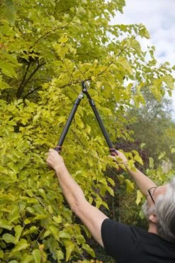 Kreator KRTGR4001 Takkenschaar - 650mm -Gardena Winkel 800x1200 12