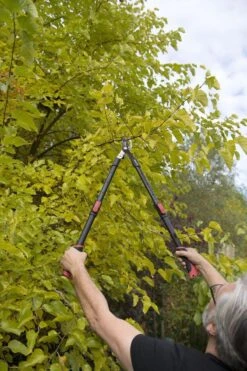 Kreator KRTGR4003 Telescopische Takkenschaar – Jong Hout - Knipdiameter: Ø34 Mm 9 Kreator KRTGR4003 Telescopische Takkenschaar – Jong Hout - Knipdiameter: Ø34 Mm -Gardena Winkel 800x1200 14