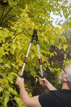 Kreator KRTGR4013 Telescopische Takkenschaar - 63-89 Cm Totale Lengte - . Ø39 Mm Knipdiameter -Gardena Winkel 800x1200 15