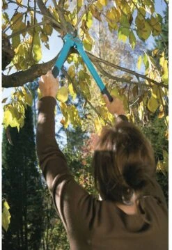 GARDENA Comfort 500 BL Takkenschaar - Max Knipdiameter 35 Mm -Gardena Winkel 825x1200 7