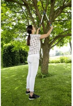 GARDENA - TeleCut Telescopische - Takkenschaar 520-670B - 42 Mm Verstelbare Lengte -Gardena Winkel 826x1200